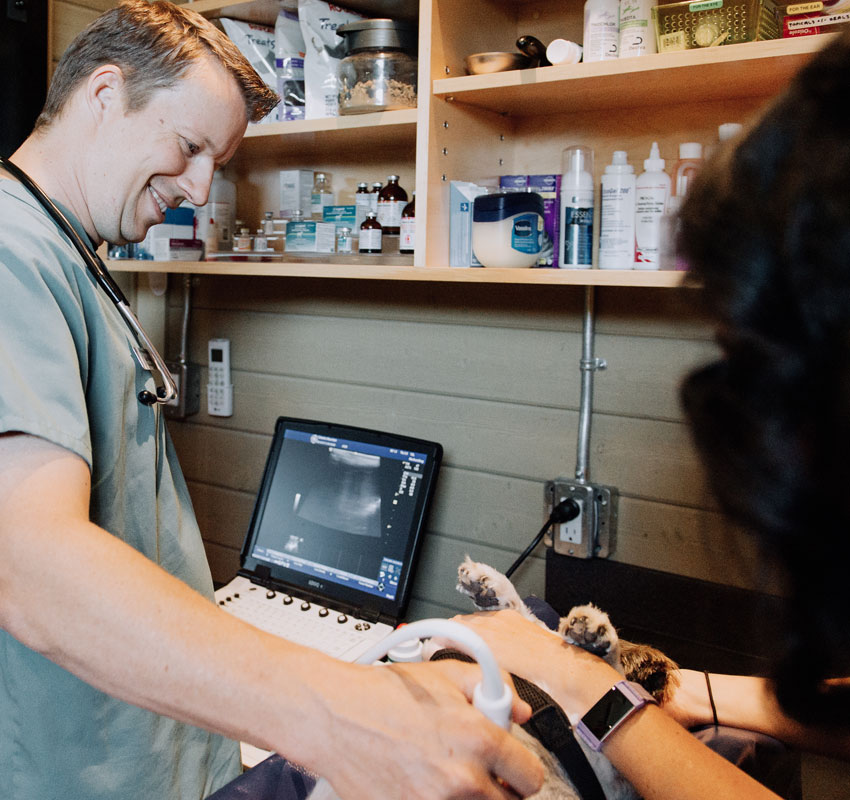 Ultrasound1