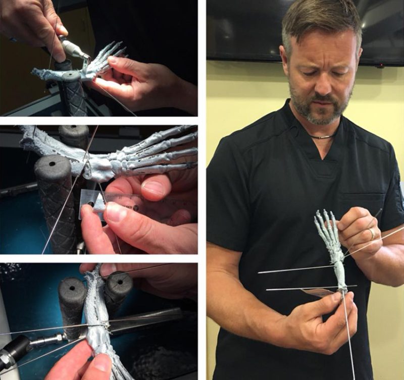 CT Scan & 3D Modeling Referral Caledonvet