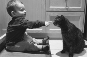 cat and toddler