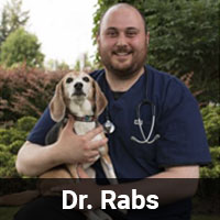 Dr. Rabs